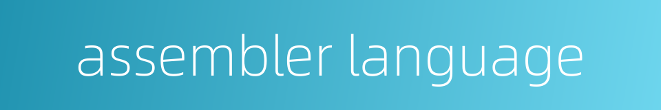 assembler language的同义词