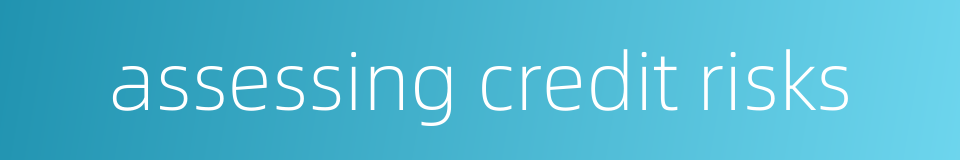 assessing credit risks的同义词