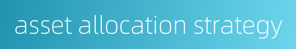 asset allocation strategy的同义词