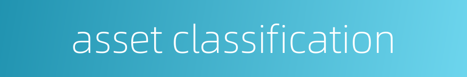asset classification的同义词