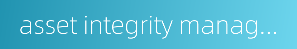 asset integrity management的同义词