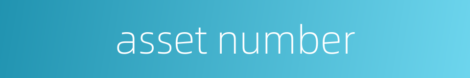 asset number的同义词