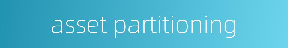 asset partitioning的同义词