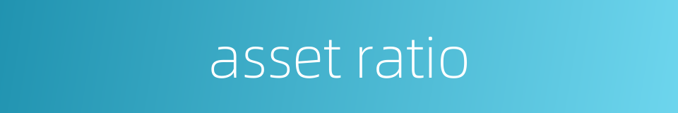 asset ratio的同义词