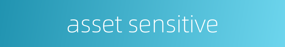 asset sensitive的同义词