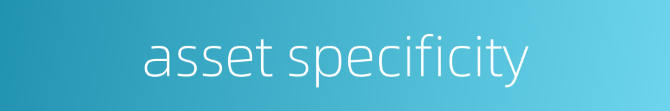 asset specificity的同义词