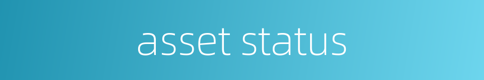asset status的同义词