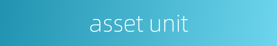 asset unit的同义词
