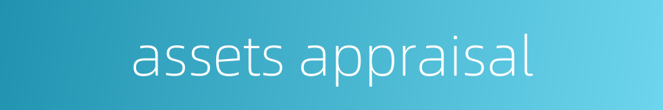 assets appraisal的同义词