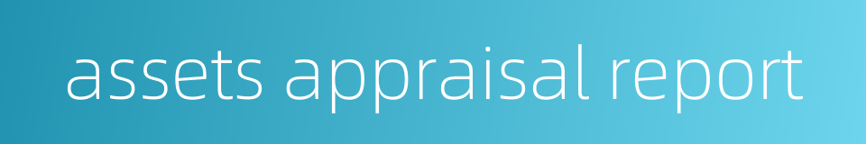 assets appraisal report的同义词