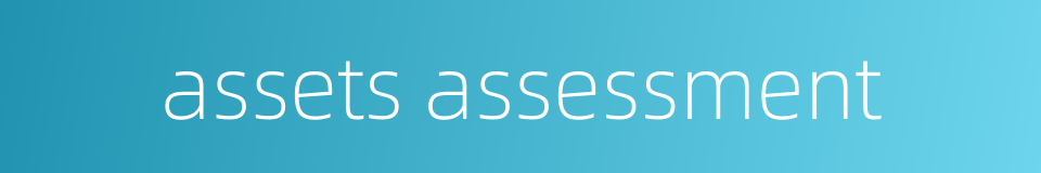 assets assessment的同义词