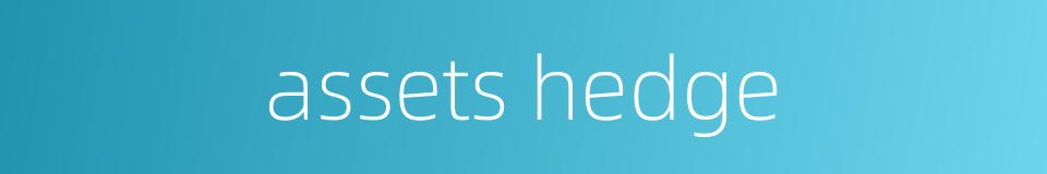 assets hedge的同义词