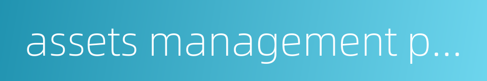 assets management plan的同义词