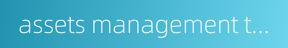 assets management theory的同义词