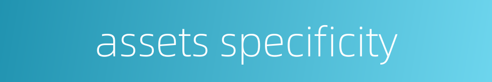 assets specificity的同义词