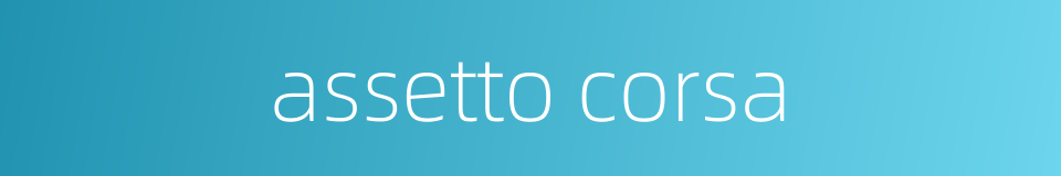 assetto corsa的同义词