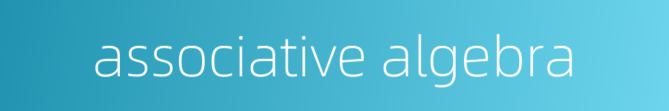 associative algebra的同义词