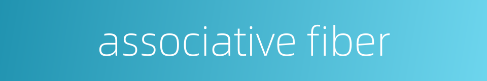 associative fiber的同义词
