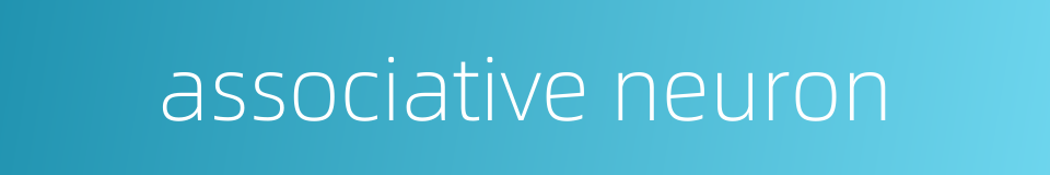 associative neuron的同义词