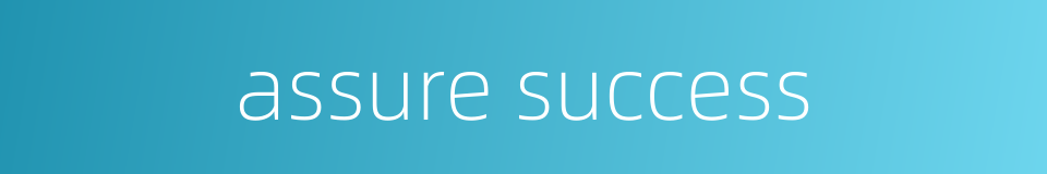 assure success的同义词