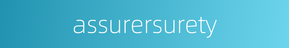 assurersurety的同义词