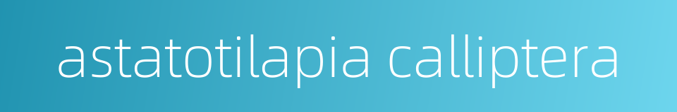 astatotilapia calliptera的同义词