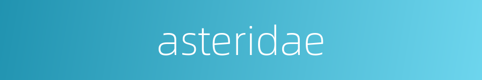 asteridae的同义词
