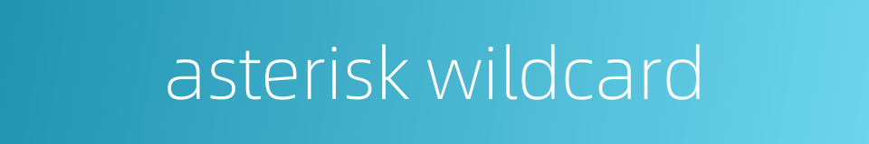 asterisk wildcard的同义词