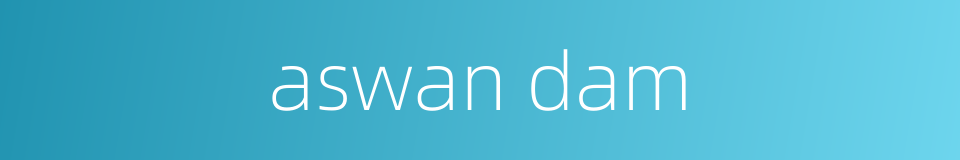 aswan dam的同义词