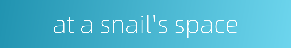 at a snail's space的同义词