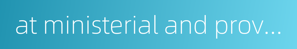 at ministerial and provincial-level的同义词