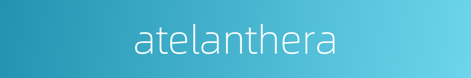 atelanthera的同义词