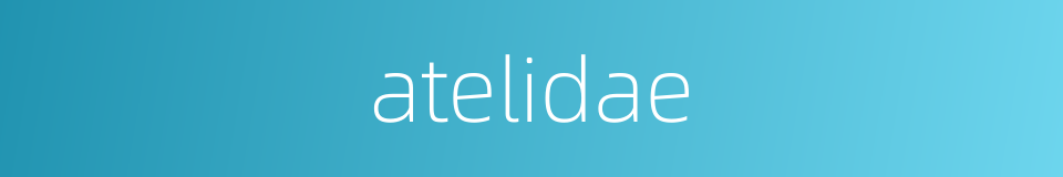 atelidae的同义词