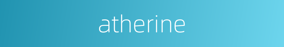 atherine的同义词