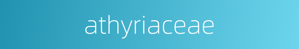 athyriaceae的同义词