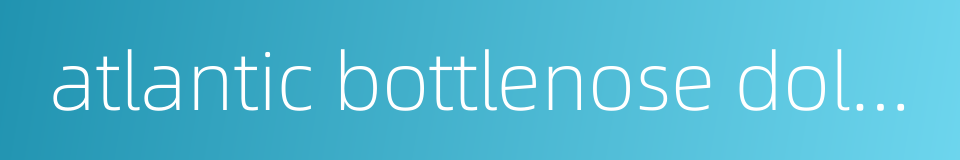 atlantic bottlenose dolphin的同义词