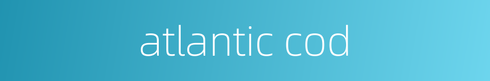 atlantic cod的同义词