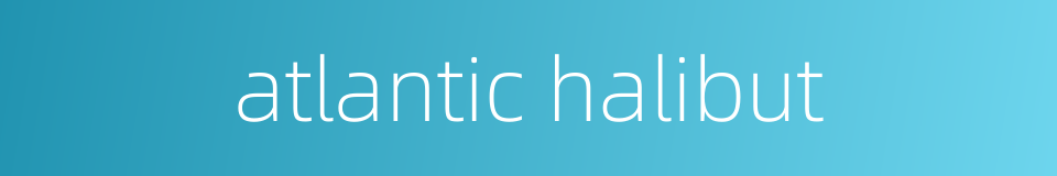 atlantic halibut的同义词