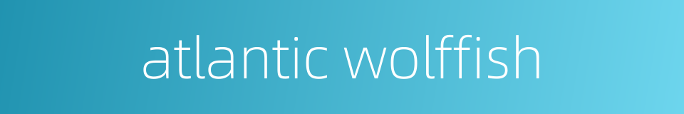 atlantic wolffish的同义词
