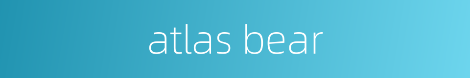 atlas bear的同义词