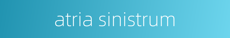 atria sinistrum的同义词