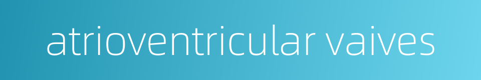 atrioventricular vaives的同义词