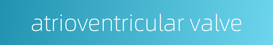 atrioventricular valve的同义词