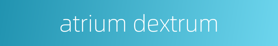 atrium dextrum的同义词