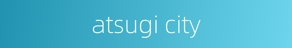 atsugi city的同义词