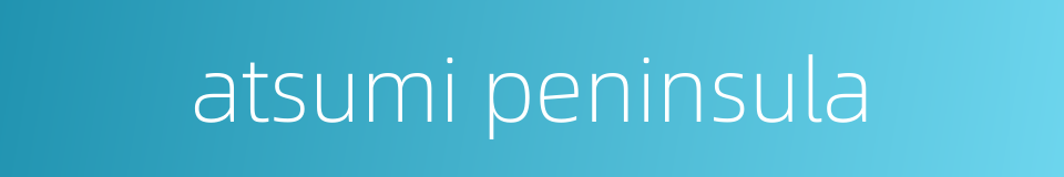 atsumi peninsula的同义词