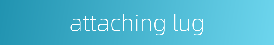 attaching lug的同义词