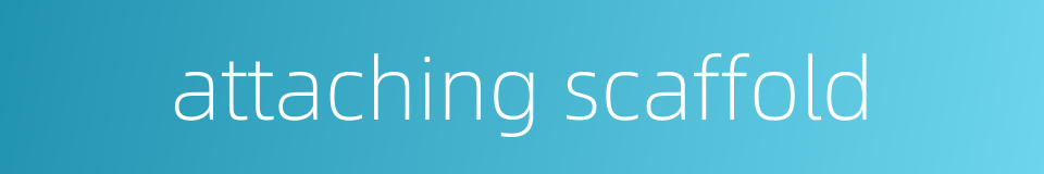attaching scaffold的同义词
