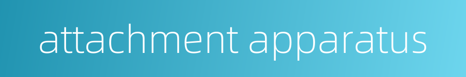 attachment apparatus的同义词