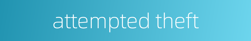 attempted theft的同义词